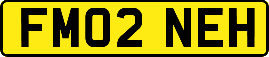 FM02NEH