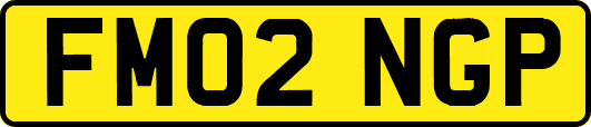FM02NGP