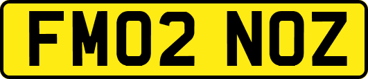 FM02NOZ