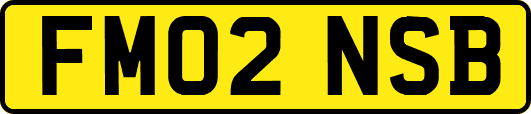 FM02NSB