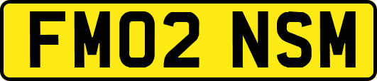 FM02NSM
