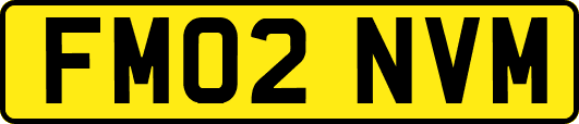 FM02NVM