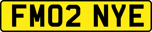 FM02NYE