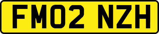 FM02NZH
