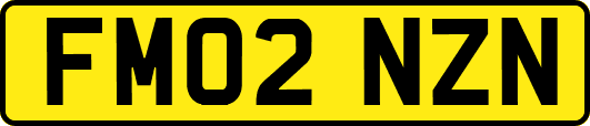 FM02NZN