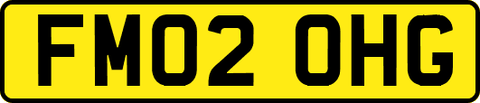 FM02OHG