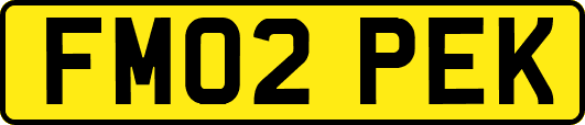 FM02PEK