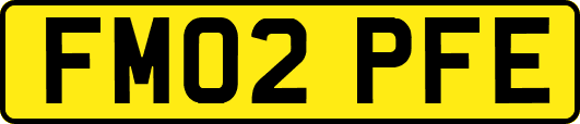 FM02PFE