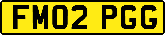 FM02PGG