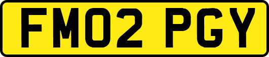 FM02PGY