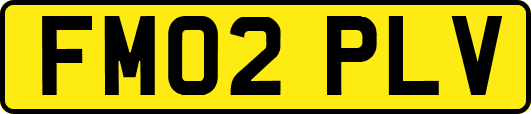 FM02PLV