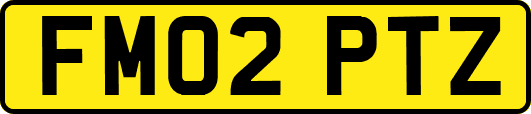FM02PTZ