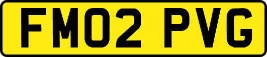 FM02PVG