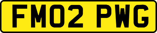 FM02PWG