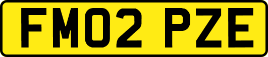 FM02PZE
