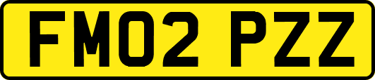 FM02PZZ
