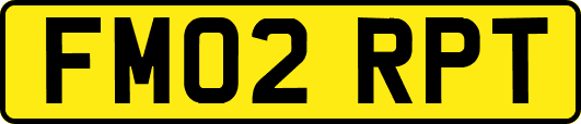 FM02RPT