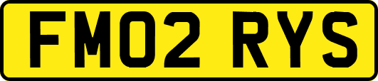 FM02RYS