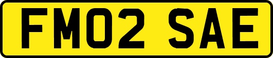 FM02SAE