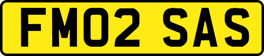 FM02SAS