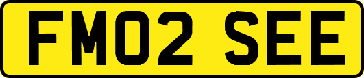 FM02SEE