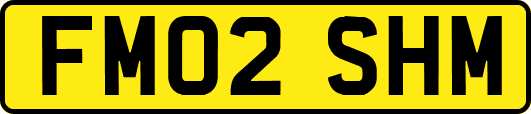 FM02SHM