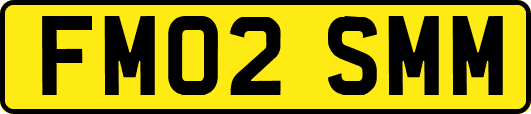 FM02SMM