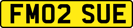 FM02SUE