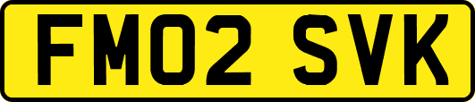 FM02SVK