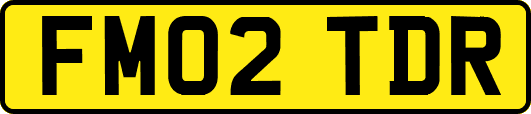 FM02TDR