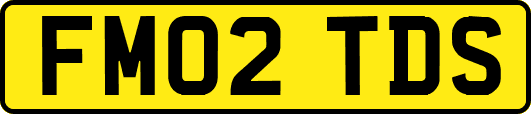 FM02TDS