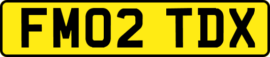 FM02TDX