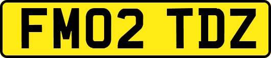 FM02TDZ