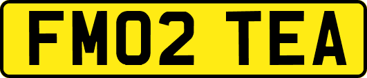 FM02TEA