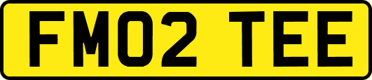 FM02TEE