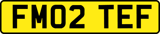 FM02TEF