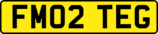 FM02TEG