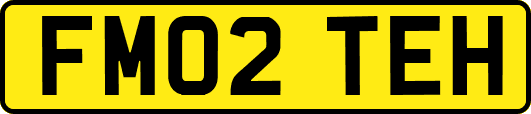 FM02TEH