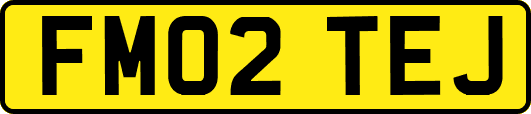 FM02TEJ