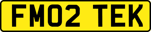 FM02TEK