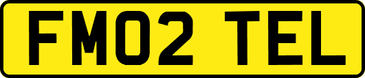 FM02TEL