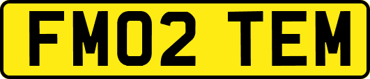 FM02TEM