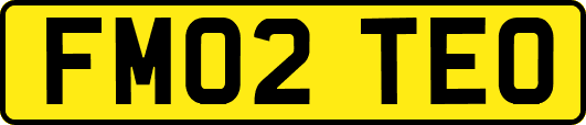 FM02TEO