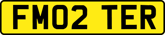 FM02TER