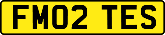 FM02TES