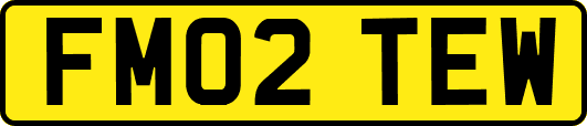 FM02TEW