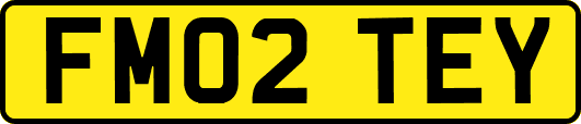 FM02TEY