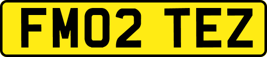FM02TEZ
