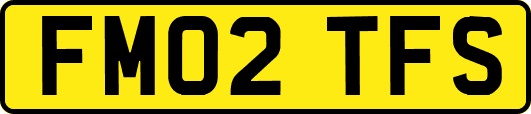 FM02TFS