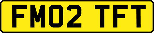 FM02TFT